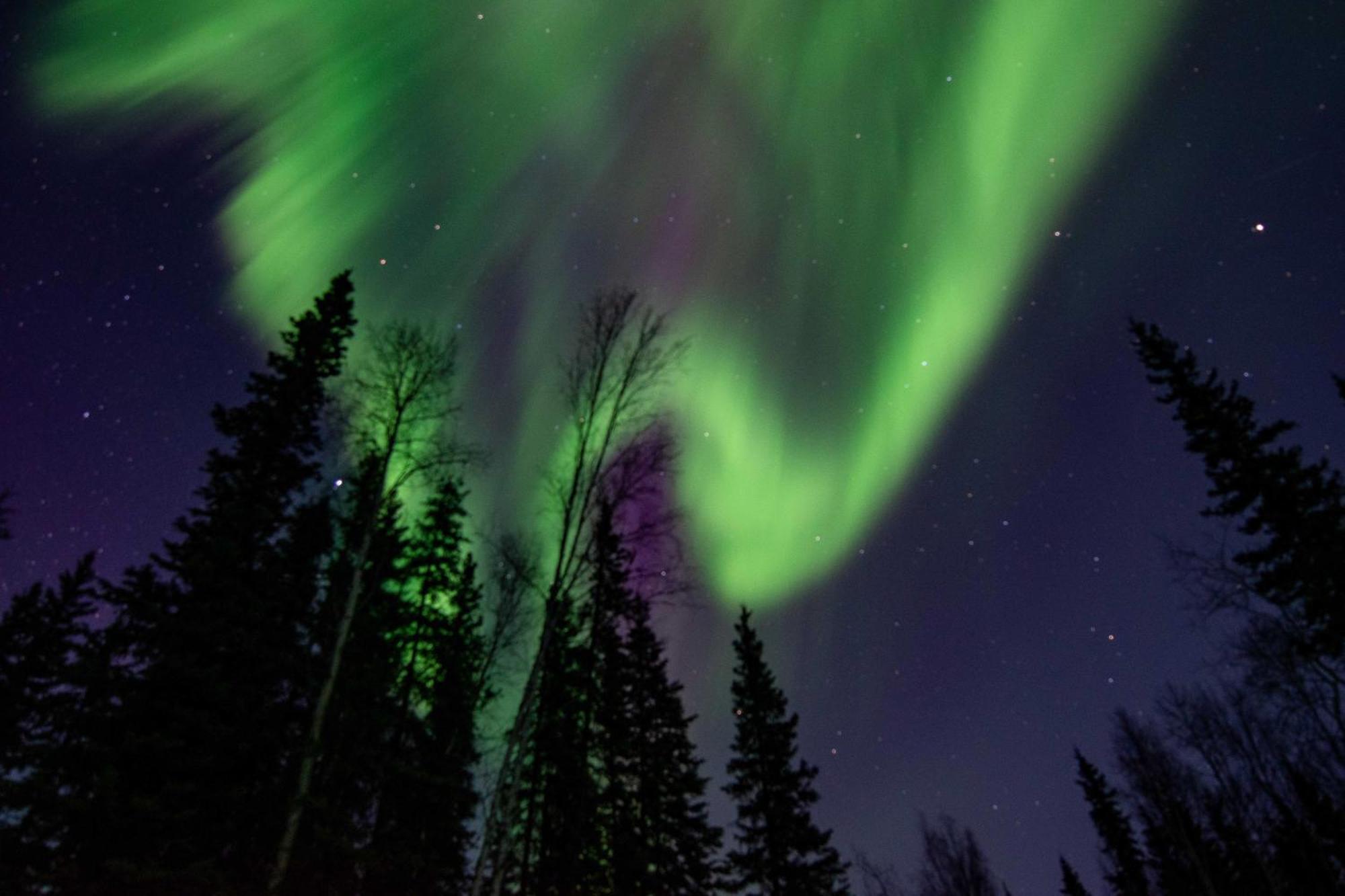 Riverside Log Cabin On-Site Aurora Viewing! North Pole Esterno foto