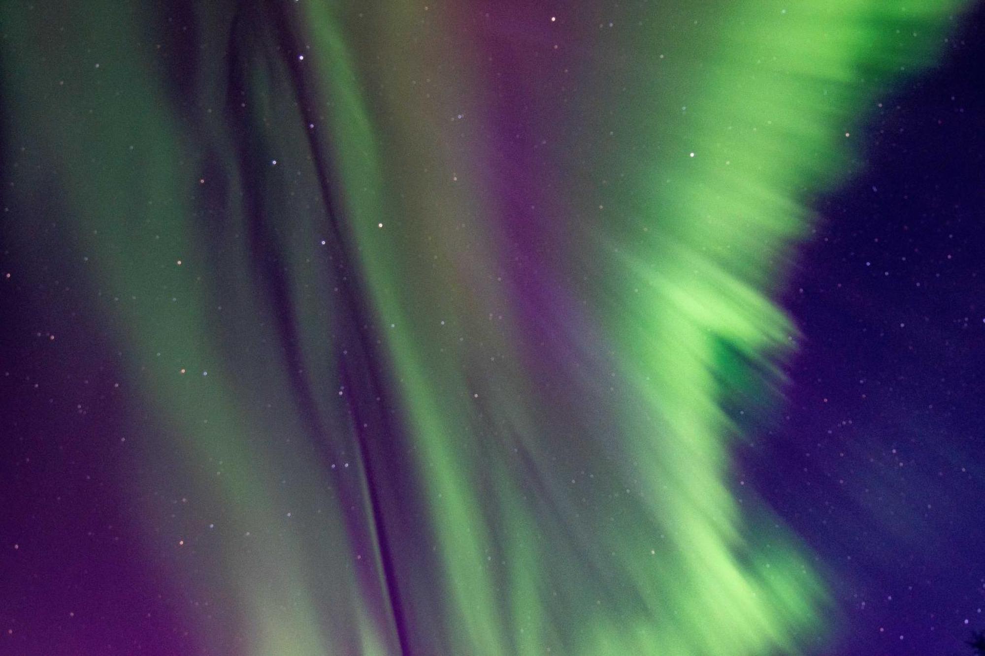 Riverside Log Cabin On-Site Aurora Viewing! North Pole Esterno foto